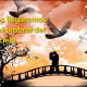 Jose Luis Rodriguez El Puma - La Llamada Del Amor (con Letra) – Video para dedicar