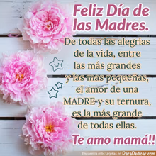 Tarjeta para dedicar: Feliz Día de las Madres. Te amo mamá!!