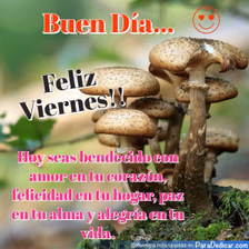 Tarjeta para dedicar: Buen Día, Feliz Viernes! Hoy seas bendecido con amor en tu corazón, felicidad en tu hogar