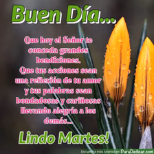Tarjeta para dedicar: Buen Día... Que hoy el Señor te conceda grandes bendiciones. Lindo Martes!