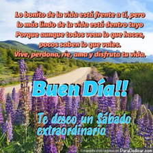 Tarjeta para dedicar: Buen Día!! Te deseo un Sábado extraordinario