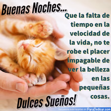 Tarjeta para dedicar: Buenas Noches... Dulces Sueños!