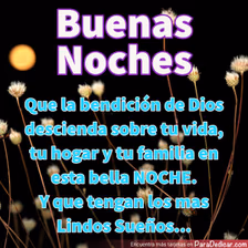 Tarjeta para dedicar: Buenas Noches. Que la bendición de Dios descienda sobre tu vida, tu hogar y tu familia en esta bella NOCHE.