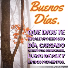 Tarjeta para dedicar: Buenos Días. Que Dios te regale un hermoso día, cargado de infinitas bendiciones, lleno de paz y lindos momentos.