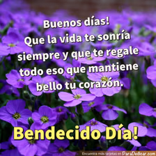 Tarjeta para dedicar: Buenos días, que la vida te sonría siempre y que te regale todo, Bendecido día