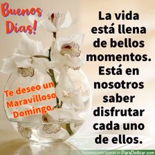 Tarjeta para dedicar: Buenos Días! Te deseo un Maravilloso Domingo. La vida está llena de buenos momentos.