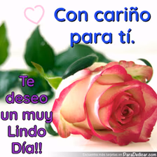 Tarjeta para dedicar: Con cariño para tí. Te deseo un muy Lindo Día!!