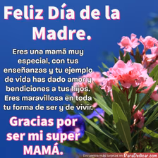 Tarjeta para dedicar: Feliz Día de la Madre. Eres una mamá muy especial, con tus enseñanzas y tu ejemplo de vida has dado amor y bendiciones a…