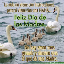 Tarjeta para dedicar: Feliz Día de las Madres. No hay amor mas grande y sincero que el de una Madre.