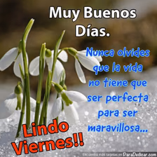 Tarjeta para dedicar: Muy Buenos Días. Nunca olvides que la vida no tiene que ser perfecta para ser maravillosa... Lindo Viernes!!