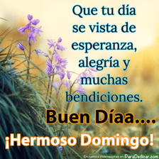 Tarjeta para dedicar: Que tu día se vista de esperanza, alegría y muchas bendiciones. Buen Día... ¡Hermoso Domingo!