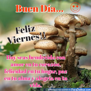 Tarjeta para dedicar: Buen Día, Feliz Viernes! Hoy seas bendecido con amor en tu corazón, felicidad en tu hogar