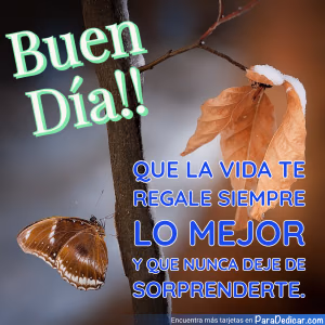 Tarjeta para dedicar: Buen Día!! Que la vida te regale siempre lo mejor y que nunca deje de sorprenderte.