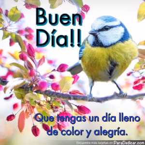 Tarjeta para dedicar: Buen Día!! Que tengas un día lleno de color y alegría.