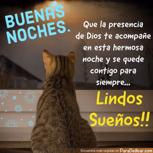 Tarjeta para dedicar: BUENAS NOCHES. Que la presencia de Dios te acompañe en esta hermosa noche y se quede contigo para siempre... Lindos Sueñ…