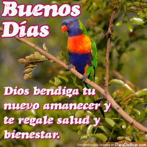 Tarjeta para dedicar: Buenos Días. Dios bendiga tu nuevo amanecer