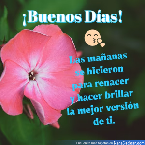 Tarjeta para dedicar: Buenos Días. Las mañanas se hicieron para renacer y hacer brillar la mejor versión de ti