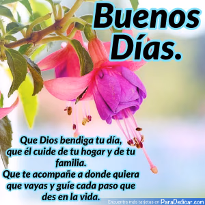 Tarjeta para dedicar: Buenos Días. Que Dios bendiga tu día, que él cuide de tu hogar y de tu familia.