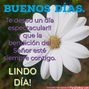 Tarjeta para dedicar: BUENOS DÍAS. Te deseo un día espectacular!! y que la bendición del Señor esté siempre contigo. LINDO DÍA!