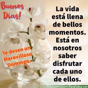 Tarjeta para dedicar: Buenos Días! Te deseo un Maravilloso Domingo. La vida está llena de buenos momentos.