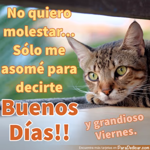 Tarjeta para dedicar: Buenos Días!! y grandioso Viernes.