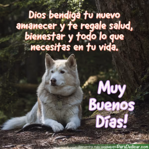 Tarjeta para dedicar: Dios bendiga tu nuevo amanecer y te regale salud, bienestar y todo lo que necesitas en tu vida.