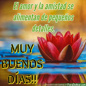 Tarjeta para dedicar: El amor y la amistad se alimentan de pequeños detalles. Muy Buenos Días!!
