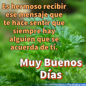 Tarjeta para dedicar: Es hermoso recibir ese mensaje que te hace sentir... Muy Buenos Días