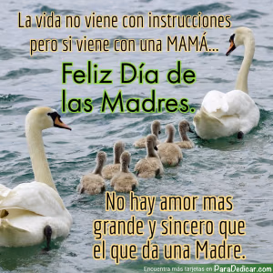 Tarjeta para dedicar: Feliz Día de las Madres. No hay amor mas grande y sincero que el de una Madre.