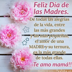 Tarjeta para dedicar: Feliz Día de las Madres. Te amo mamá!!