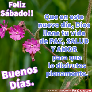 Tarjeta para dedicar: Feliz Sábado!! Que en este nuevo día, Dios llene tu vida de paz, Buenos Días.