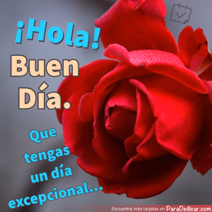 Tarjeta para dedicar: ¡Hola! Buen Día. Que tengas un día excepcional...