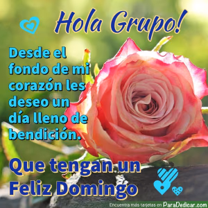 Tarjeta para dedicar: Hola Grupo! Desde el fondo de mi corazón les deseo un día lleno de bendición. Que tengan un feliz Domingo