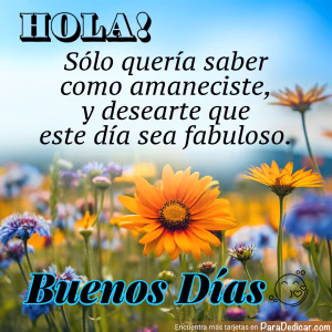 Tarjeta para dedicar: Hola! Sólo quería saber como amaneciste, Buenos Días.