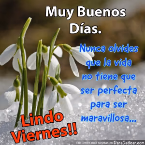 Tarjeta para dedicar: Muy Buenos Días. Nunca olvides que la vida no tiene que ser perfecta para ser maravillosa... Lindo Viernes!!