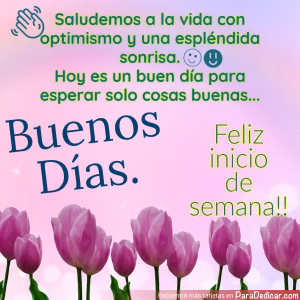 Tarjeta para dedicar: Saludemos a la vida con optimismo y una espléndida sonrisa. Buenos días. Feliz inicio de semana!!