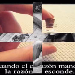 Video para dedicar: Corazón De Piedra - Grupo Kaliente (con Letra)
