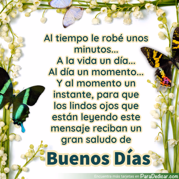 Tarjeta para dedicar: Al tiempo le robé unos minutos... A la vida un día... Al día un momento... Buenos Días