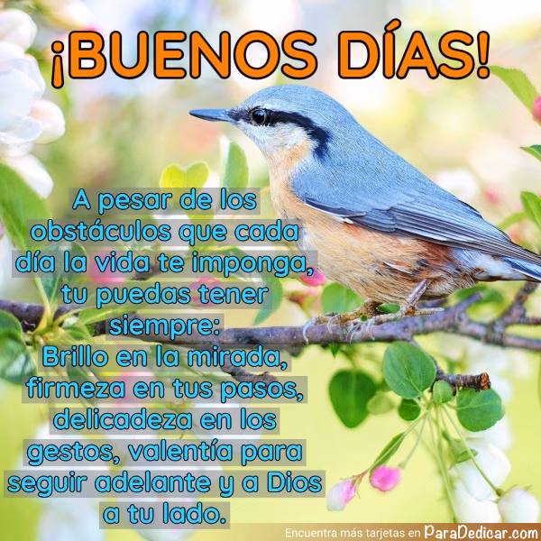 Tarjeta para dedicar: ¡BUENOS DÍAS! A pesar de los obstáculos que cada día la vida te imponga, tu puedes tener siempre: Brillo en la mirada, f…