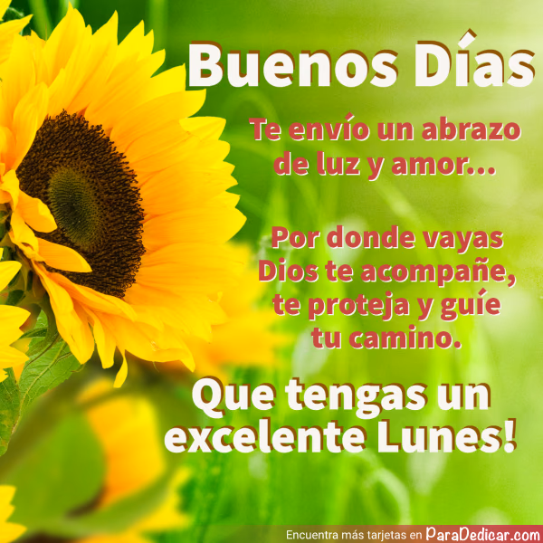 Tarjeta para dedicar: Buenos Días. Te envío un abrazo de luz y amor... Que tengas un excelente Lunes!