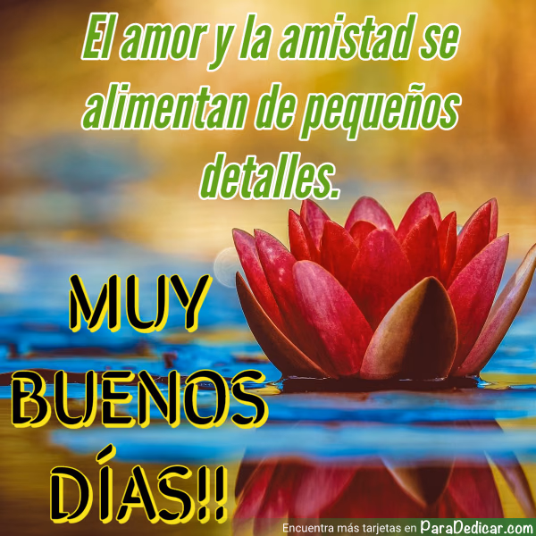 Tarjeta para dedicar: El amor y la amistad se alimentan de pequeños detalles. Muy Buenos Días!!