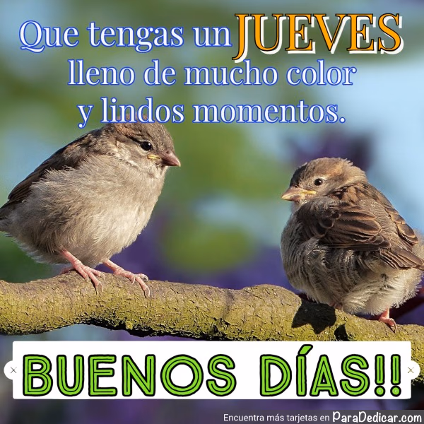 Tarjeta para dedicar: Que tengas un JUEVES lleno de mucho color y lindos momentos. BUENOS DÍAS.