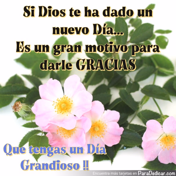 Tarjeta para dedicar: Si Dios te ha dado un nuevo Día... Es un gran motivo para darle GRACIAS. Que tengas un Día Grandioso!!
