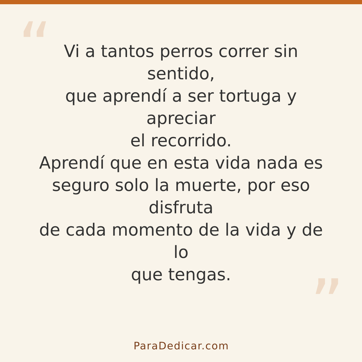 Frase para dedicar: Vi a tantos perros correr sin sentido, que aprendí a ser tortuga y apreciar el recorrido. Aprendí que en esta vida nada…