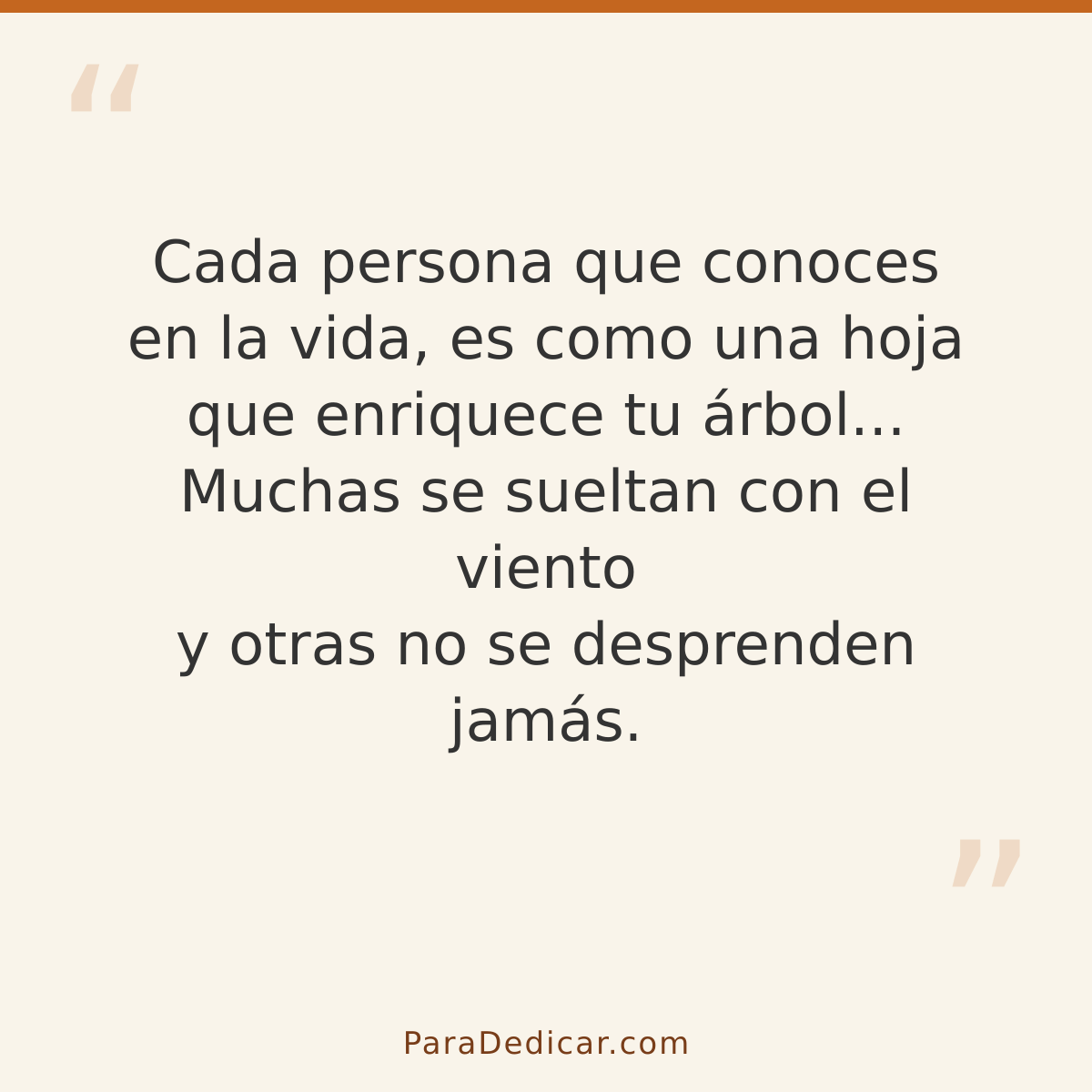 Frase para dedicar: Cada persona que conoces en la vida, es como una hoja que enriquece tu árbol... Muchas se sueltan con el viento y otras…