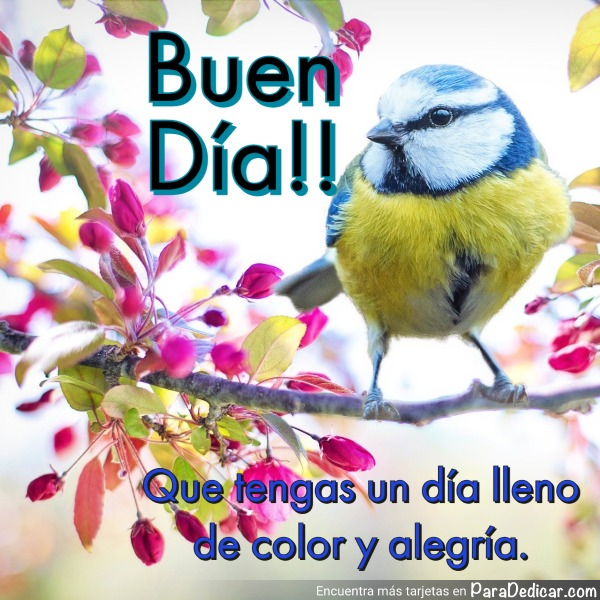 Tarjeta de Buen Día!! Que tengas un día lleno de color y alegría.