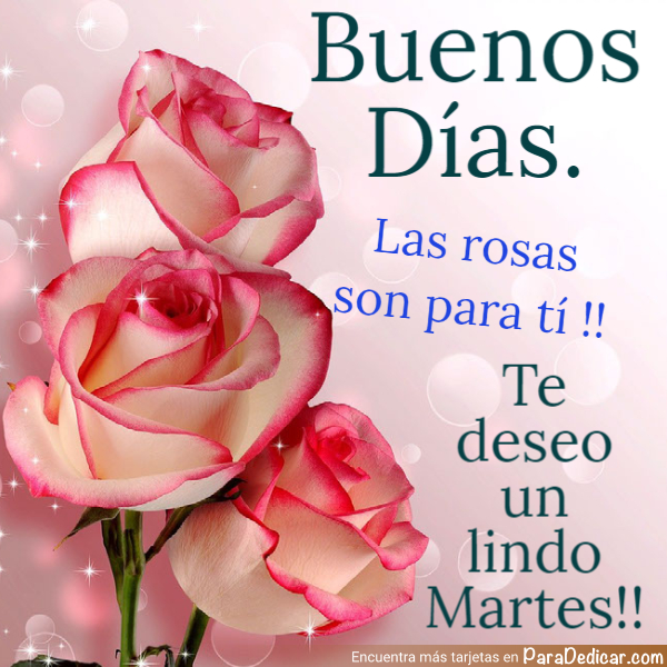 Tarjeta de Buenos Días. Las rosas son para ti !! Te deseo un lindo Martes !!